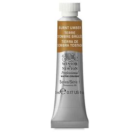 Winsor Newton Burnt Umber 076 S.1 5 ml Tüp Sulu Boya