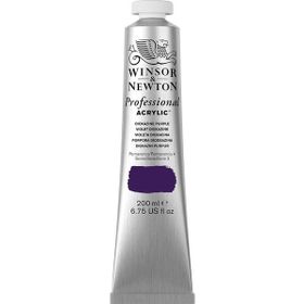 Winsor Newton Dioxazine Purple 229 S.3 200 ml Akrilik Boya