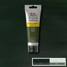Winsor Newton Galeria 447 Olive Green Akrilik Boya