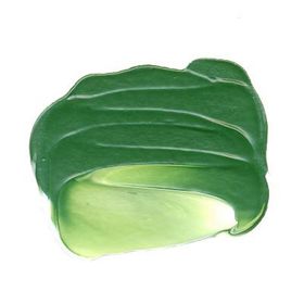 Winsor Newton Galeria 599 Sap Green Akrilik Boya