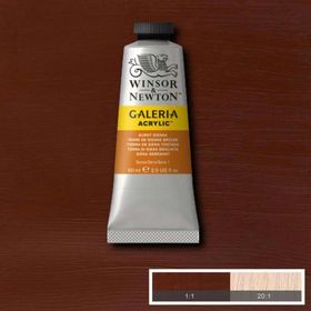Winsor Newton Galeria Burnt Sienna 074 60ml Akrilik Boya