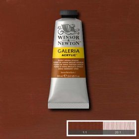 Winsor Newton Galeria Burnt Sienna Opaque 077 60ml Akrilik Boya