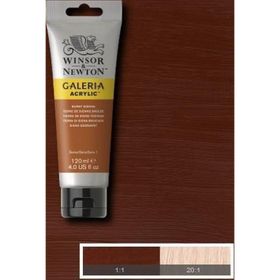 Winsor & Newton Galeria Burnt Sienna Opaque 77 120 ml Akrilik Boya