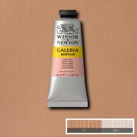 Winsor Newton Galeria Flesh Tint 257 60ml Akrilik Boya