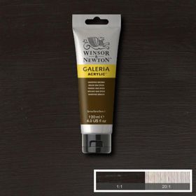 Winsor Newton Galeria No:676 Vandyke Brown 120ml Akrilik Boya