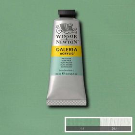 Winsor Newton Galeria Pale Olive 435 60ml Akrilik Boya