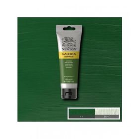 Winsor Newton Galeria Sap Green 599 120ml Akrilik Boya