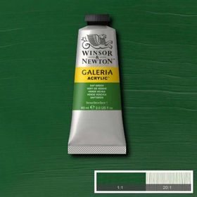Winsor Newton Galeria Sap Green 599 60ml Akrilik Boya