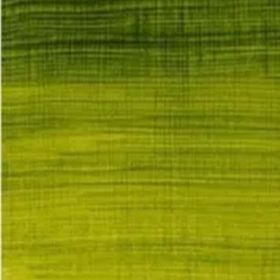 Winsor Newton N:37 Sap Green 200 ml Yağlı Boya