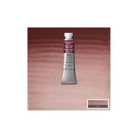 Winsor Newton No:125 Caput Mortuum Violet 5 ml Sulu Boya