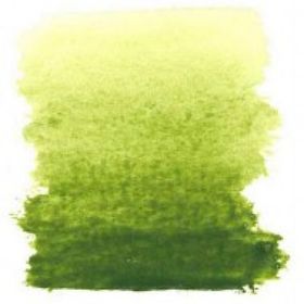 Winsor Newton No:447 Olive Green 5 ml Sulu Boya