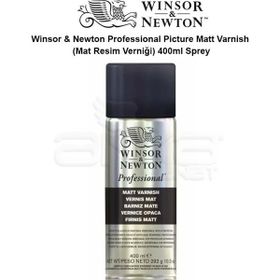 Winsor & Newton Professional 400 ml Sprey Picture Matt Varnish