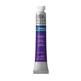 Winsor Newton Profesyonel Tüp Winsor Violet Dioxazine Sulu Boya