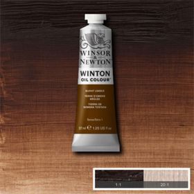 Winsor Newton Winton 37 ml Burnt Umber 076 Yağlı Boya