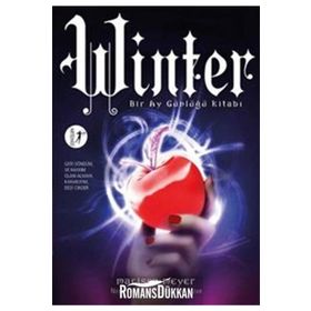 Winter Bir Ay Günlüğü Kitabı - Marissa Meyer