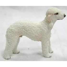 WISE BEYAZ TERİER KÖPEK BİBLO