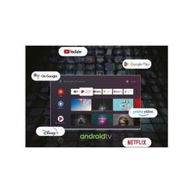 Wismann 58WSE8504 58 inç 147 Ekran 4K Ultra HD Android LED TV