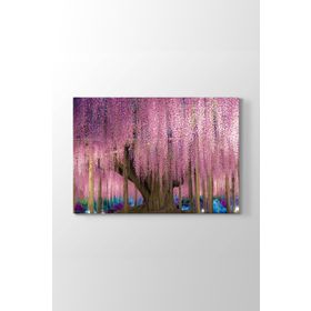 Wisteria Ağacı Tablosu