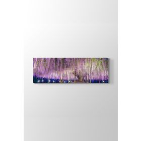 Wisteria Ağacı Tablosu