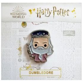 Wizarding World PIN005 Albus Dumbledore Harry Potter Pin