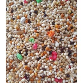 Woddy 1 kg Karışık Muhabbet Kuşu Yemi