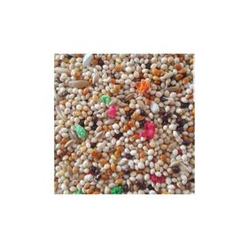 Woddy 1 kg Karışık Muhabbet Kuşu Yemi