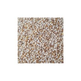 Woddy 1 kg Sade Ak Darı Muhabbet Kuşu Yemi