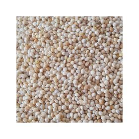Woddy 1 kg Sade Ak Darı Muhabbet Kuşu Yemi