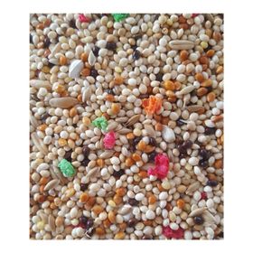 Woddy 5 kg Karışık Muhabbet Kuşu Yemi