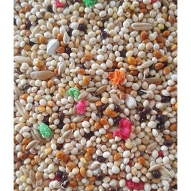Woddy 5 kg Karışık Muhabbet Kuşu Yemi