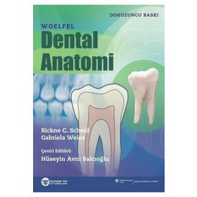 Woelfel Dental Anatomi-Güneş Tıp Kitabevi