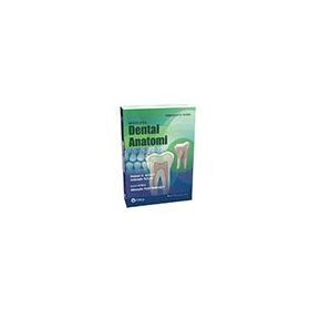 Woelfel Dental Anatomi-Güneş Tıp Kitabevi