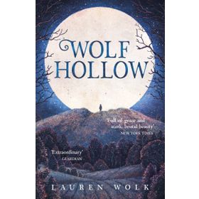 Wolf Hollow - Lauren Wolk