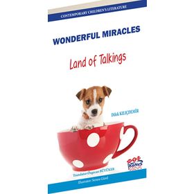Wonderful Miracles - Land of Talkings - Dilek Kılıçdemir