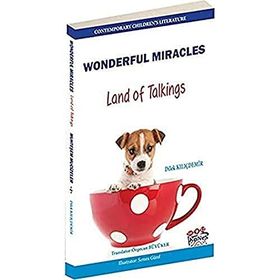 Wonderful Miracles - Land of Talkings - Dilek Kılıçdemir