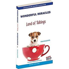 Wonderful Miracles - Land of Talkings - Dilek Kılıçdemir
