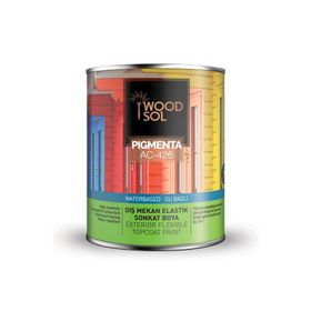 WOODSOL 0.75 lt Jel Vernik