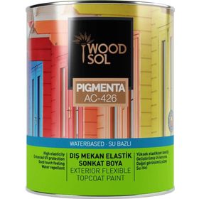 WOODSOL 1000 Bianco 0.75 lt Pigmenta Elastik Sonkat Ahşap Boyası