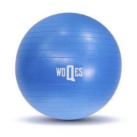 Woqes 65 cm Yüksek Kalite PVC Mavi Pilates Topu