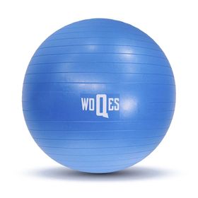 Woqes 65 cm Yüksek Kalite PVC Mavi Pilates Topu