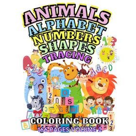 Writing Learning Fun Workbook - Kindergarten