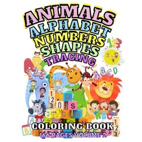 Writing Learning Fun Workbook - Kindergarten