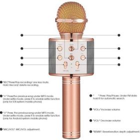 Wster Ws-858 Rose Gold Karaoke Mikrofon