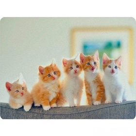 WuW Kedicikler Kaymaz Taban Mouse Pad