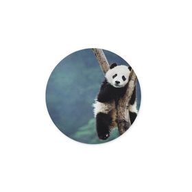 WuW Panda Yuvarlak Kaymaz Taban Mouse Pad