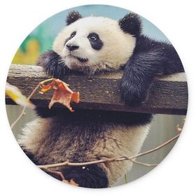 WuW Panda Yuvarlak Kaymaz Taban Mouse Pad