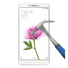 Xiaomi Mi Max Nano Ekran Koruyucu