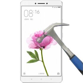 Xiaomi Mi Max Nano Ekran Koruyucu