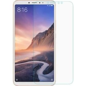 Xiaomi Mi Max Nano Ekran Koruyucu