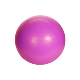 XQ Max 128710420 Fuşya 55 cm Pilates Topu